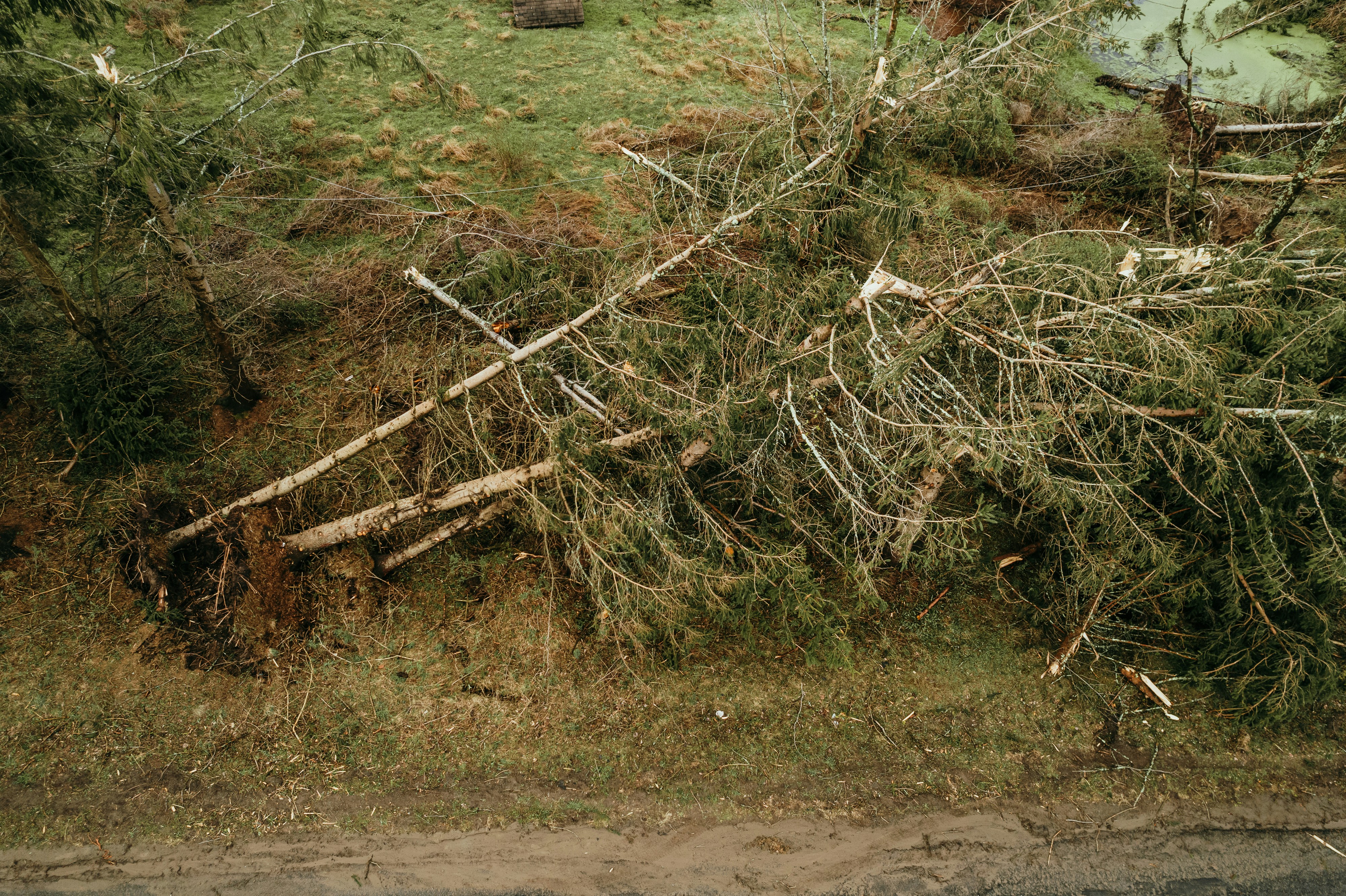 Storm damage